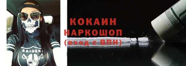 ALPHA PVP Остров