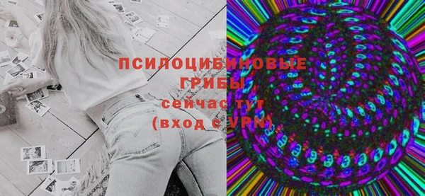 гашик Переславль-Залесский