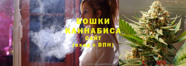 крисы Пересвет